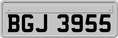 BGJ3955