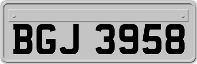BGJ3958
