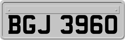 BGJ3960