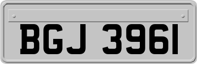 BGJ3961
