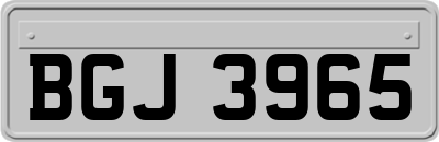 BGJ3965