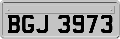 BGJ3973