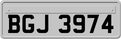 BGJ3974