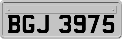 BGJ3975