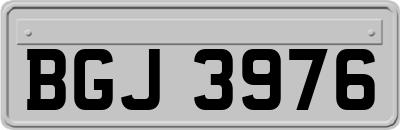 BGJ3976