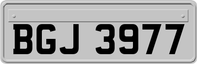 BGJ3977
