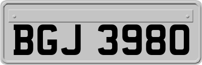 BGJ3980