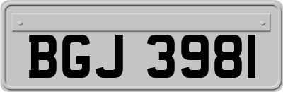 BGJ3981