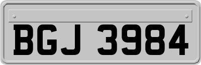 BGJ3984