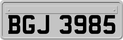BGJ3985