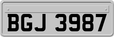 BGJ3987
