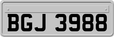 BGJ3988