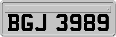 BGJ3989