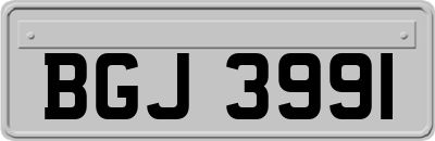 BGJ3991