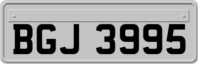 BGJ3995