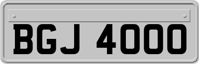 BGJ4000