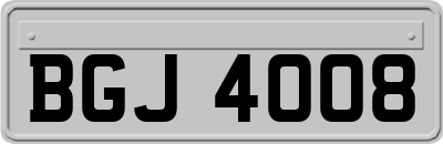 BGJ4008