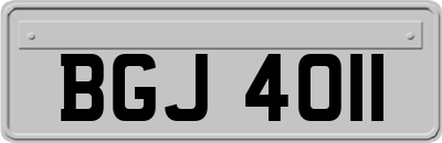 BGJ4011