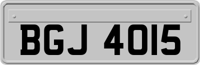 BGJ4015