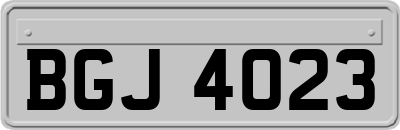 BGJ4023