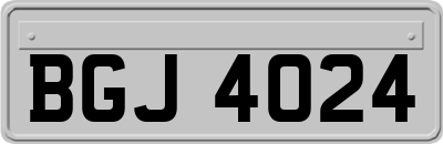 BGJ4024