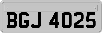 BGJ4025