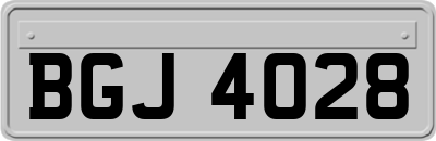 BGJ4028