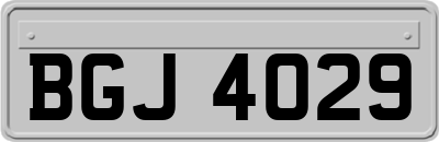 BGJ4029