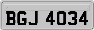 BGJ4034