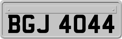 BGJ4044