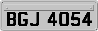 BGJ4054