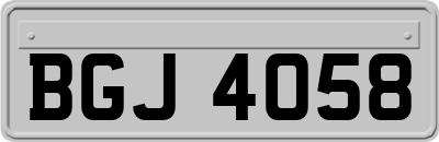 BGJ4058