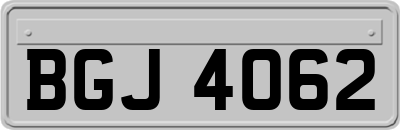 BGJ4062