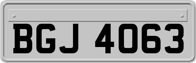 BGJ4063