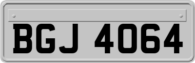 BGJ4064
