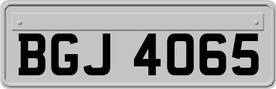 BGJ4065