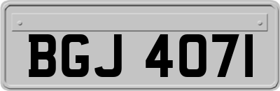 BGJ4071