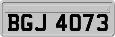 BGJ4073