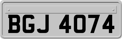 BGJ4074