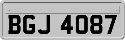 BGJ4087