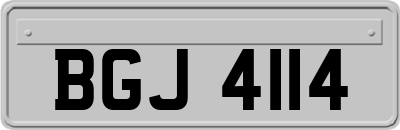 BGJ4114