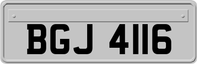 BGJ4116