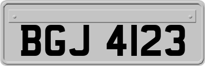 BGJ4123