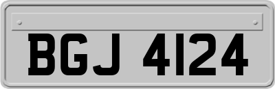 BGJ4124