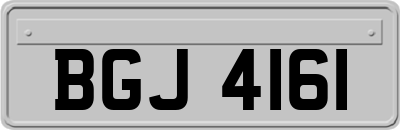 BGJ4161
