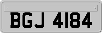 BGJ4184