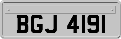 BGJ4191
