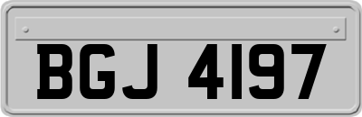 BGJ4197
