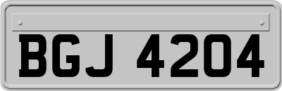 BGJ4204