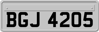 BGJ4205